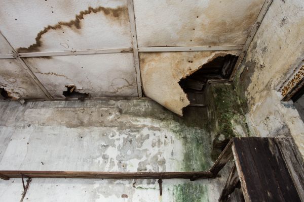 Cost of Water Damage Service in Peoria