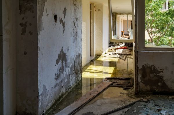 Cost of Water Removal Service in Peoria