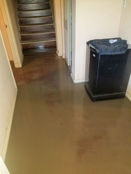 Cost of Emergency Water Removal in Peoria