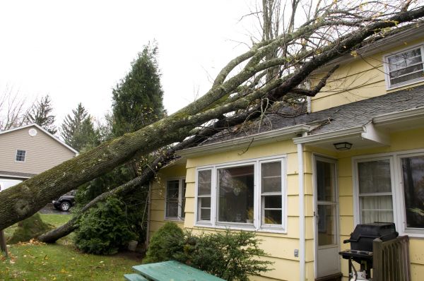 Hurricane Damage Repair in Peoria